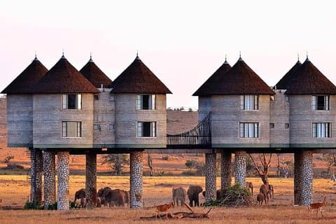 2 dage (1 nat); Tsavo East & Saltlick Safari: