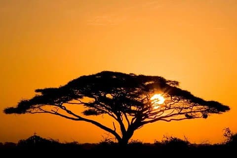 3 Days Amboseli National Park Guided safari from Nairobi