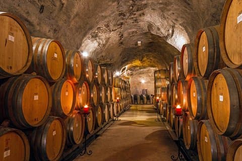 Vins de la vallée de Gibbston - Visite de la cave