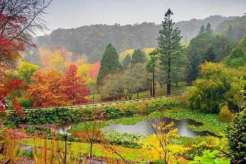 6 Days Kangaroo Island & Adelaide Shared Tour