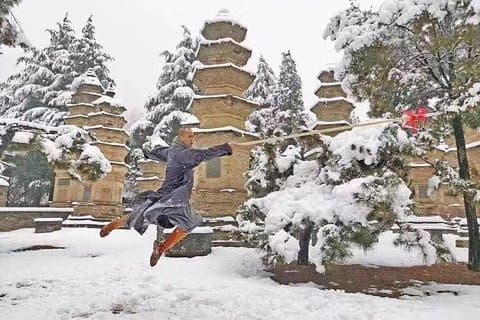 Excursion de 3 jours au Henan avec le temple Shaolin et d'autres sites incontournables