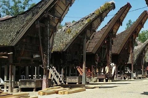 Toraja bugis tour - 7 days / min 2pax