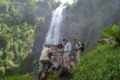 Caminhada de um dia no Monte Kilimanjaro