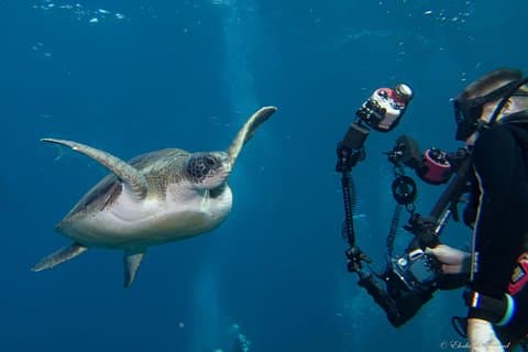 ONDERWATERFOTOGRAFIE SPECIALITEIT - Verbeter uw creativiteit en vind uw stijl