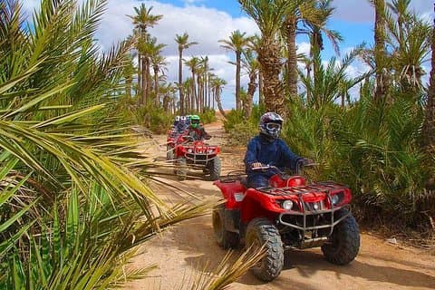 Paseo en quad en Marrakech Palm Oases