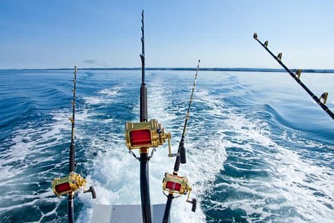 Excursión privada guiada de 8 horas de pesca / esnórquel de día completo 40 'Mega Bite