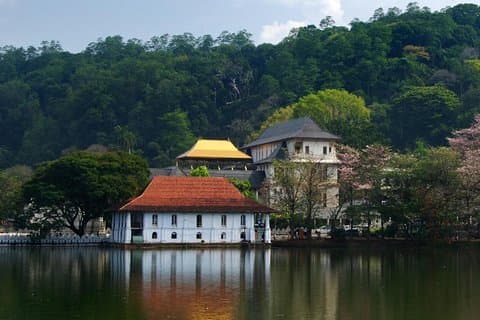 Visite privée à Kandy de Wadduwa