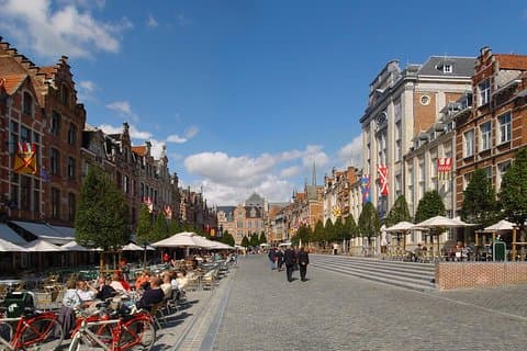 Private 6-stündige Tour nach Löwen ab Brüssel mit Fahrer und Fortgeschrittener