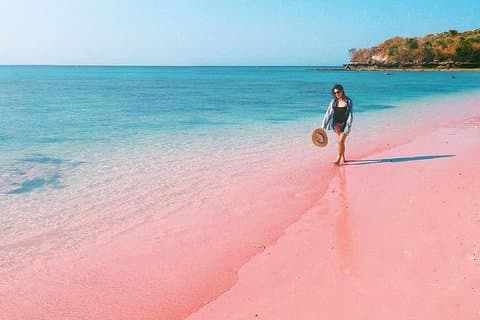Lombok Pink Beach Island Hopping & Snorkeling with Japanese Speaking Guide