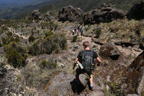 Kilimanjaro Tageswanderung