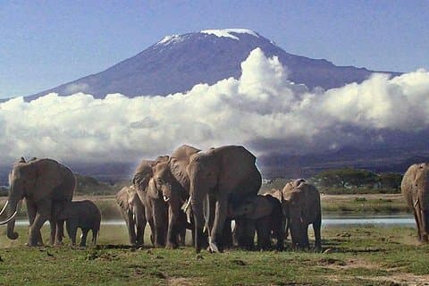 Amboseli National Park 3-dages safari