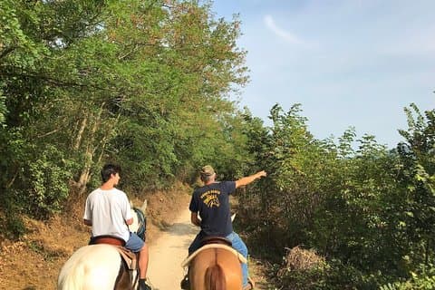 Reiten und Weinprobe
