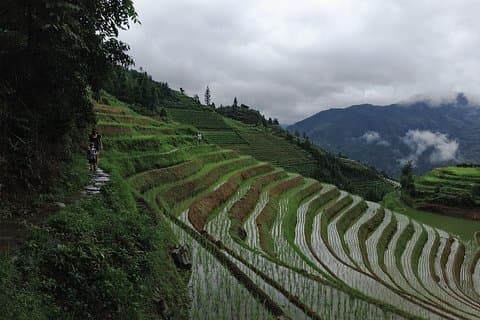 Tour del villaggio di Longji Terrace Fields-Pingan di 1 giorno con l'autista che parla inglese