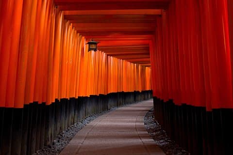 Excursion privée d'une journée personnalisable à Kyoto