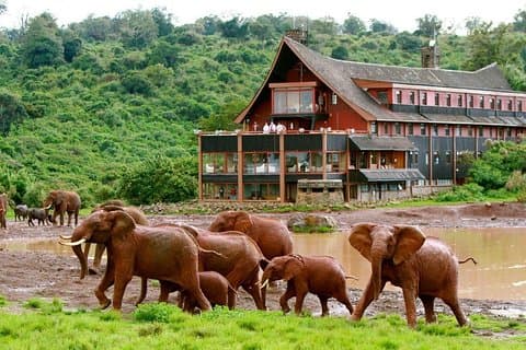 Aberdares National Park Luxury Lodge Safari 2 dias 1 noite