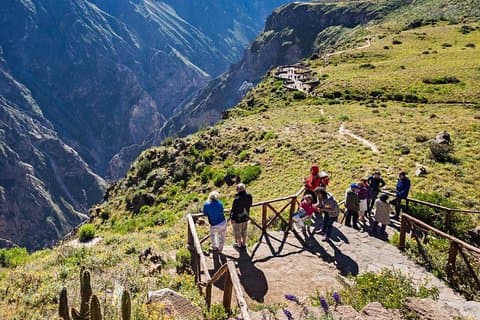 Colca Canyon 2d / 1n och landar i Puno