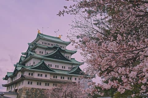 Excursion privée d'une demi-journée personnalisable à Nagoya
