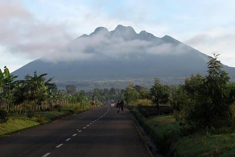 Excursion Gorilla Trekking in Rwanda