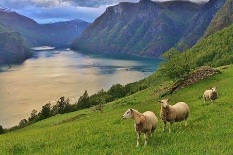 ALL ELECTRIC: Emissionsfreie Tour zu den Welterbe-Fjorden, 13 Stunden