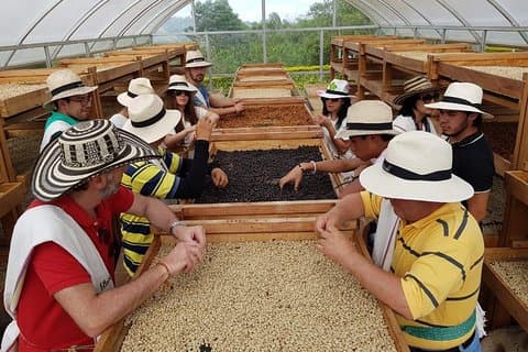 Kaffekultur og varme kilder