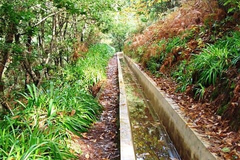 Madeira: Private Guided Walk Levada Prazeres – Raposeira