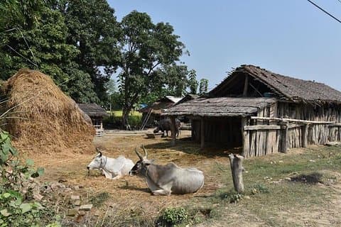 Exposition exclusive de 5 jours pour apprendre l'ancienne agriculture rurale près de la vallée de Pokhara
