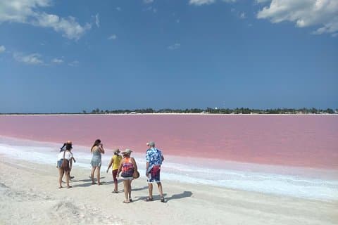 Excursion d'une journée complète à Las Coloradas Pink Paradise au Yucatan et à Rio Lagartos.