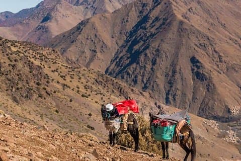 Trek privado nas montanhas do Atlas de 5 dias de Marrakech