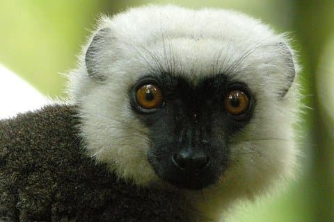 Aventure de 4 jours dans le parc national de Masoala au départ d'Antananarivo