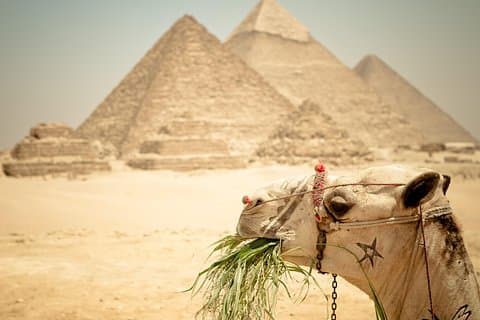 Pacchetto di tour guidato privato di 3 giorni al Cairo, Giza e Alessandria