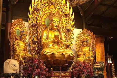 Heldags privat historisk guidet tur i Shanghai by