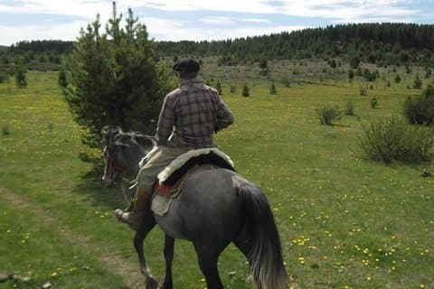 Équitation à Haneck
