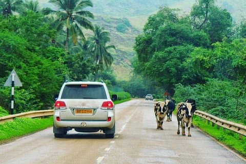 Salalah Mountain Safari Tour 2 (Heldagstur)