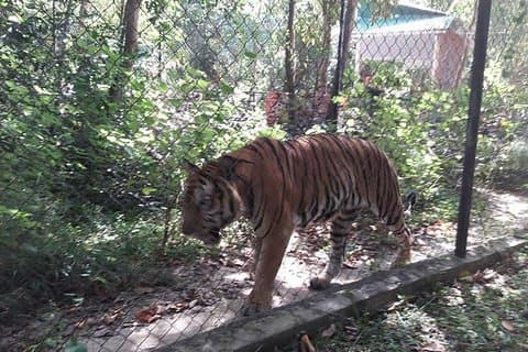 Tamao Mountain og Tonle Bati privat dagstur fra Phnom Penh