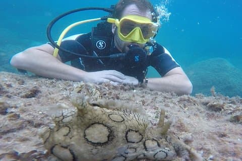 Experiencia de buceo en Taormina
