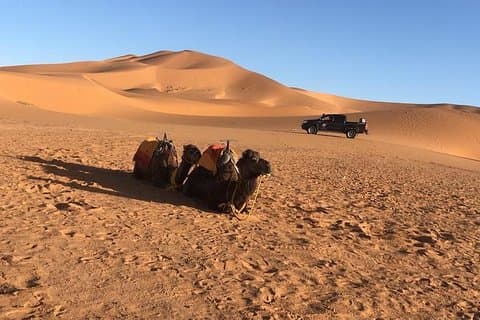 3-dages tur fra Marrakech til Fes med Desert Break