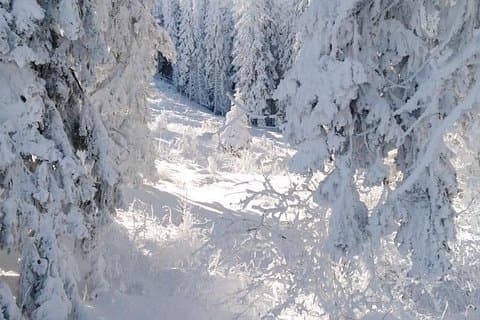 Viagem privada de 2 dias com raquetes de neve