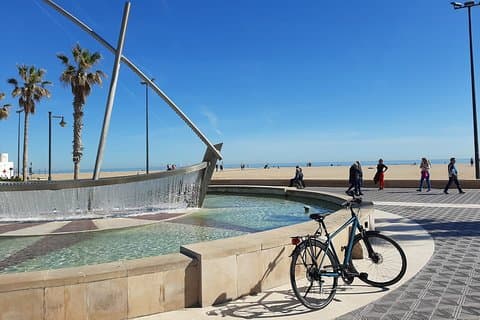 Mieten Sie ein Trekkingrad in Valencia