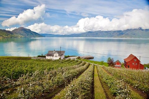 GEWELDIGE HARDANGER: privérondvaart met Fjord Cruise - vanuit Bergen, 11 uur