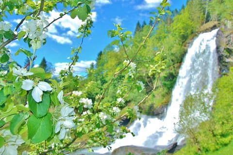 HARDANGER FJORD UND VOSS: Kurze private Hin- und Rückfahrt, 8-9 Stunden