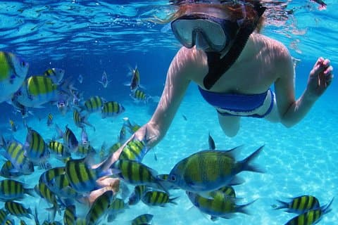 Snorkla i det näst största revet i världen Färgglad tur i Puerto Morelos