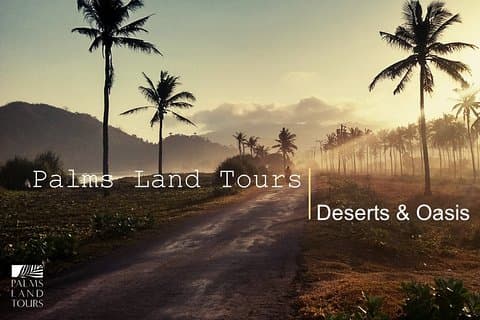 Riyadh City Tour