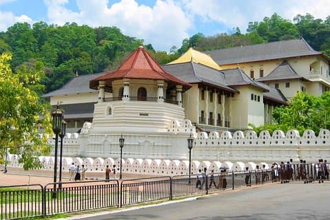 Circuit de 10 jours au Sri Lanka