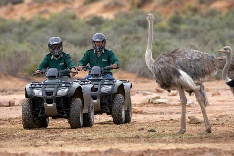 Cape Town Adventure Tours