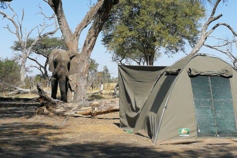12Tage WILDERNESS TRAIL : Okavango, Moremi & Chobe + Victoria Falls