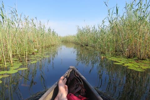 2 Nights Okavango Delta Mokoro WildCamping Tour, all-inclusive