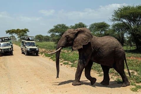 6-tägige Tansania Beste Camping Safari von Arusha