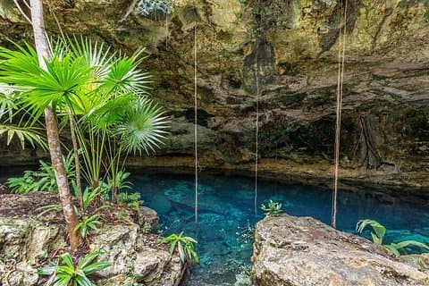 Spider Monkey, Coba og Cenote