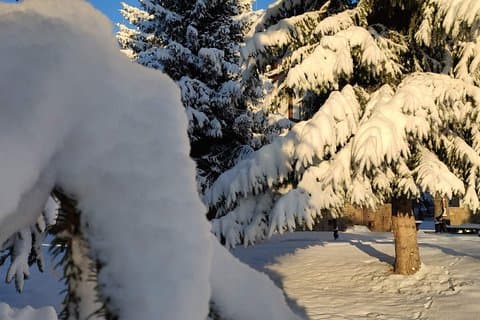 Privates Schneeschuhwandern in Vitosha für 1 Tag