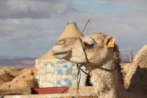 3 dagers tur: dalene i Sørøst-Marokko og Erg Chebbi fra Marrakech